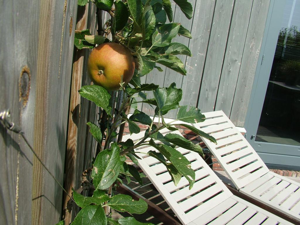 De Greenhouse Apartament Amsterdam Zewnętrze zdjęcie