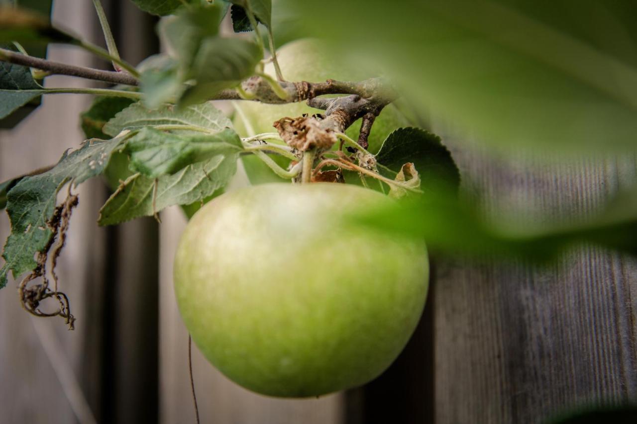 De Greenhouse Apartament Amsterdam Zewnętrze zdjęcie